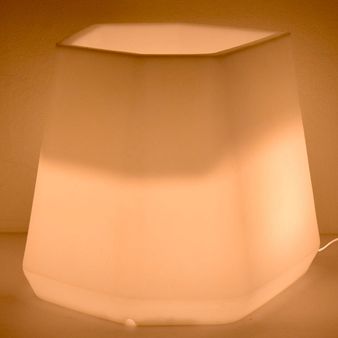 Vaso Luminoso da Giardino a LED 56x49x43 cm in Resina 5W Magnolia Bianco Caldo