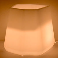Vaso Luminoso da Giardino a LED 56x49x43 cm in Resina 5W Magnolia Bianco Caldo