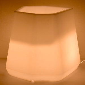 Vaso Luminoso da Giardino a LED 56x49x43 cm in Resina 5W Magnolia Bianco Caldo