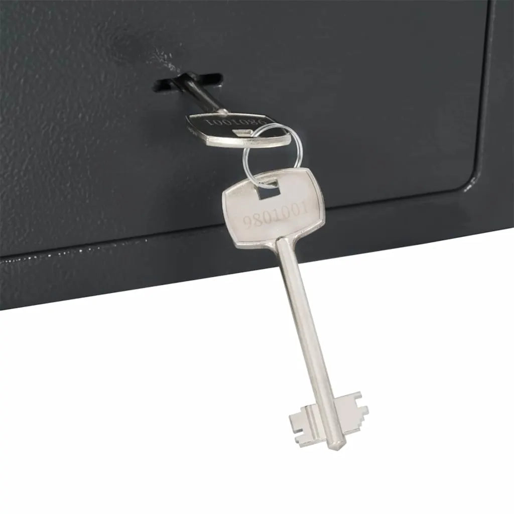 Cassaforte con blocco Grigio scuro 23 x 17 x 17 cm Acciaio CFW1530331