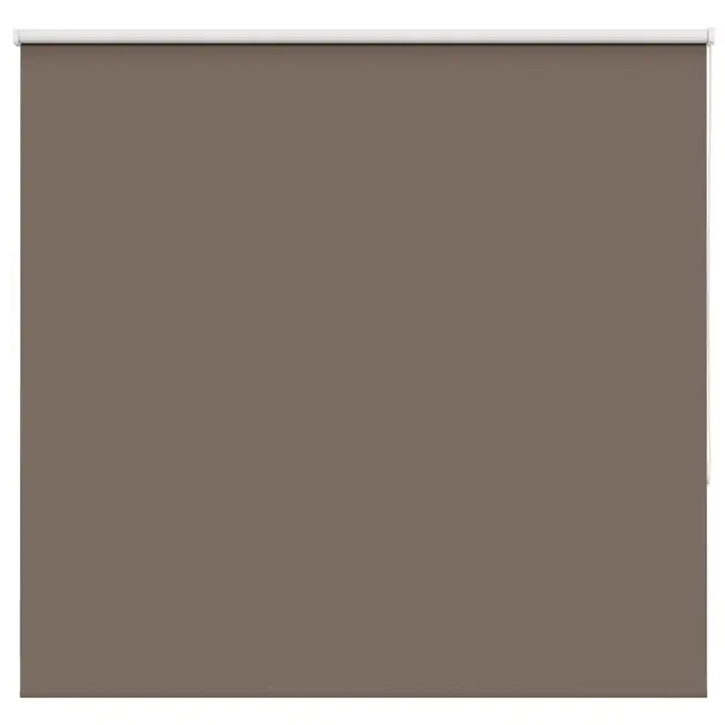 Tenda a Rullo Oscurante 160x150 cm Larghezza Tessuto 156,6 cm 4011010