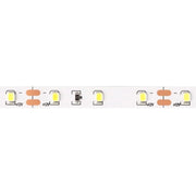Striscia LED 5m 4,8W/m 6500K 300lm/m 12V IP20 dimmerabile
