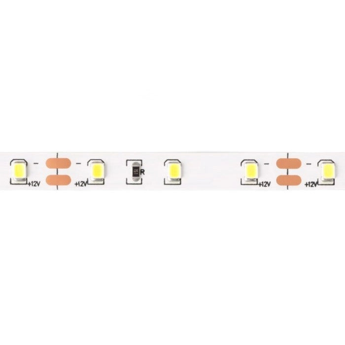 Striscia LED 5m 4,8W/m 6500K 300lm/m 12V IP20 dimmerabile