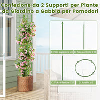 2 Tralicci per Pomodori 145 cm, Obelisco per Piante Rampicanti in Metallo Rivestito in PE, Trellis da Giardino per Verdure, Viti, Fiori e Piante