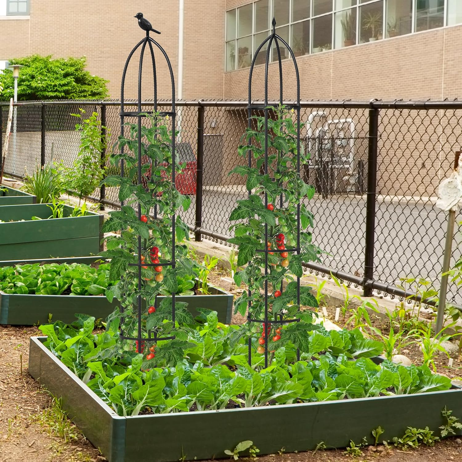 2 Trellis da Giardino per Piante Rampicanti 197 cm, 2 Tralicci in Metallo a Obelisco per Piante in Vaso, Supporto da Giardino per Verdure, Fiori, Pomodori, Rose e Clematidi