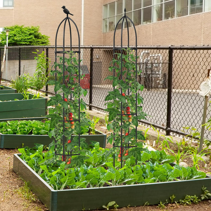2 Trellis da Giardino per Piante Rampicanti 197 cm, 2 Tralicci in Metallo a Obelisco per Piante in Vaso, Supporto da Giardino per Verdure, Fiori, Pomodori, Rose e Clematidi