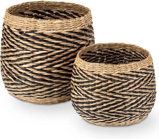 Mand per fiori, intrecciato di alghe marine, conservazione decorativa, vaso per piante, set M + L