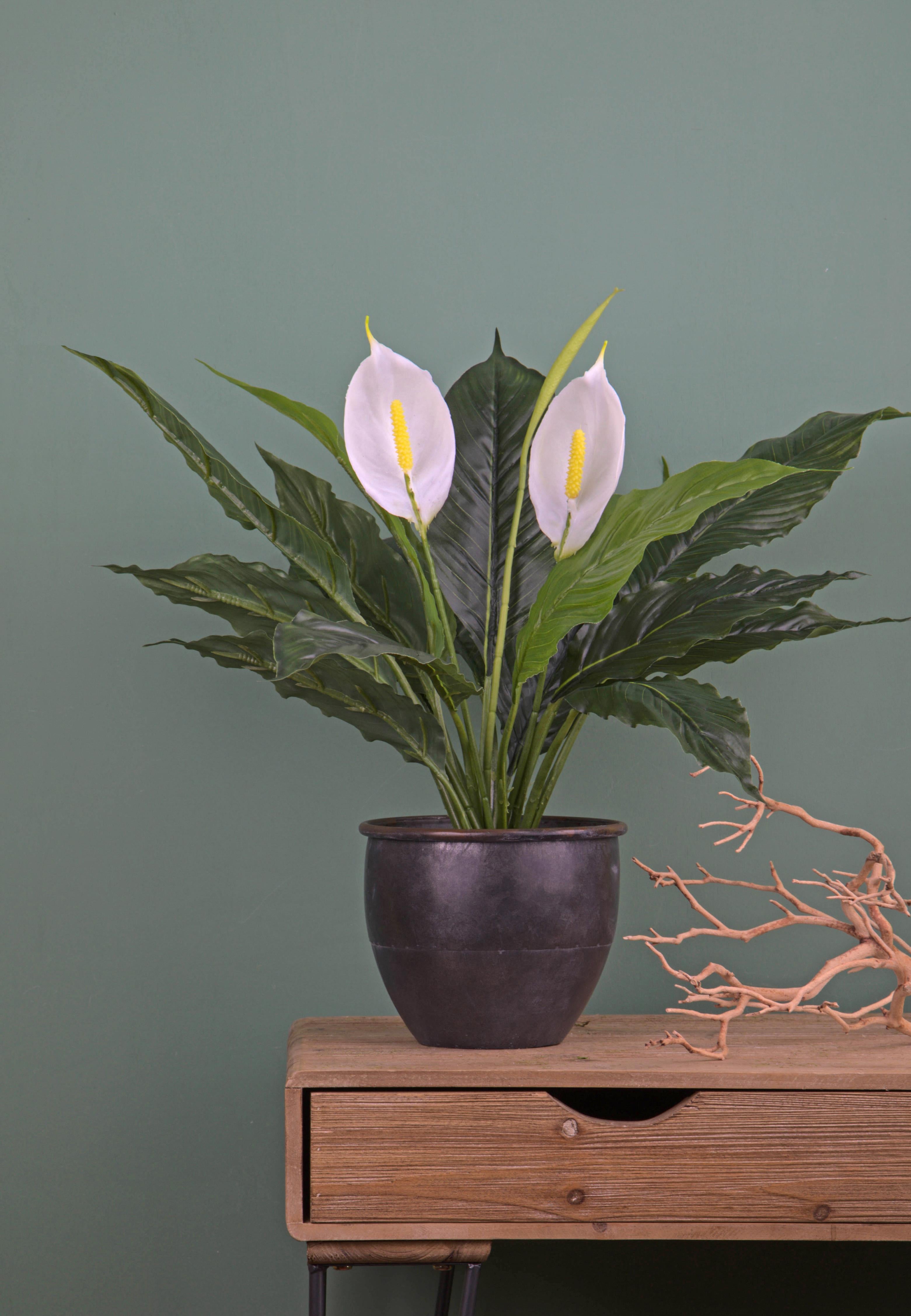 Pianta Artificiale Spathipilium con Vaso H 65 cm