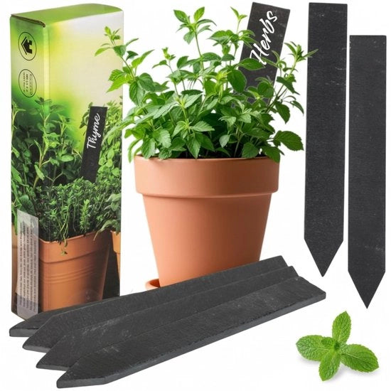 Etichette per piante da 12 pezzi - Etichette per piante riutilizzabili - Resistenti all'usura - Pietra calcarea - Decorazione giardino - 2 x 15 cm