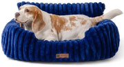 Letto per cani e gatti per interni, morbido e soffice, Letto per gatti, Piccolo letto per cani e gatti, Letto per cani (Azzurro marino, 76x53x30cm)