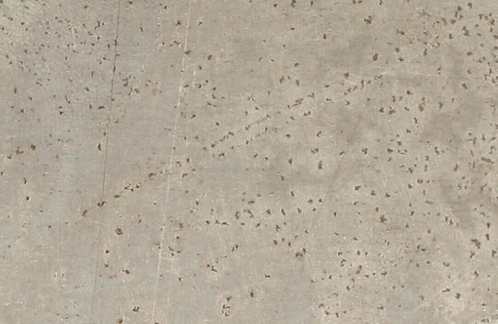Lamiera In Alluminio Liscio Naturale 500X200 Mm 0,5 - Arcansas