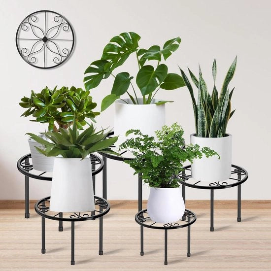 Set di 5 steli per piante - Impianto per piante robusto per più graticci - Stelo metallico rotondo resistentente all'ossidazione per interni e esterni giardini e terrazze