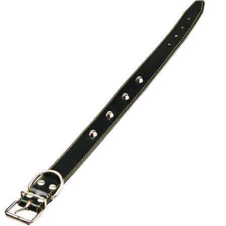 COLLARE PER CANI FODERATO CON BORCHIE 30x560 mm