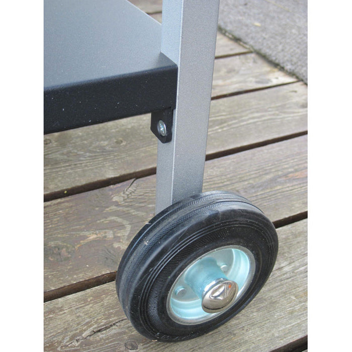 Barbecue a Legna con Griglia in Ferro Cromato Famur BK 8 Eco