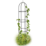 Supporto per Piante Rampicanti Obelisco Piramide da Giardino Altezza 185cm Verde
