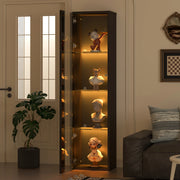 OKWISH Vetrina con 4 Livelli, Illuminazione LED con Cambio Colore, per Soggiorno, Nero, 40 x 29 x 170 cm