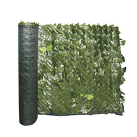 Siepe Evergreen Lauro 1x3 mt