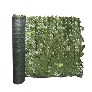 Siepe Evergreen Lauro 1x3 mt