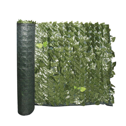 Siepe Evergreen Lauro 1x3 mt