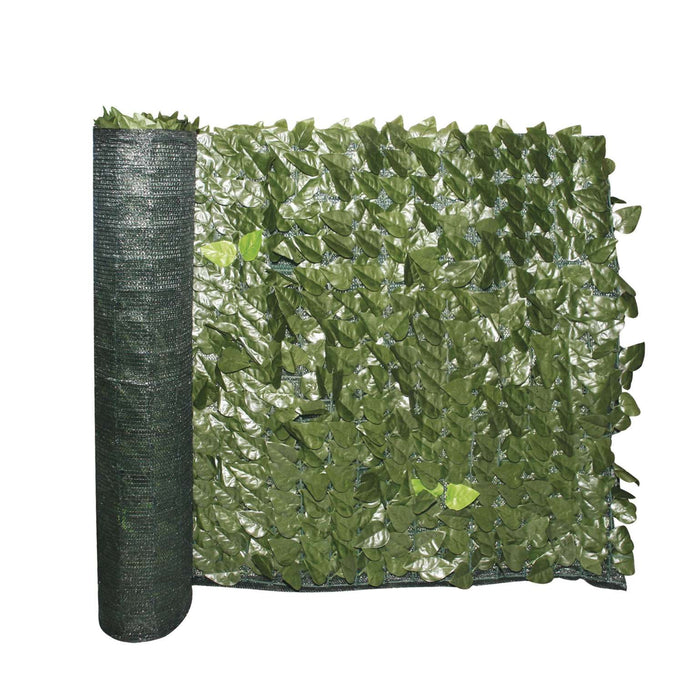 Siepe Evergreen Lauro 1x3 mt