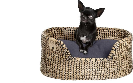 Letto per piccoli cani - Viscoelastico ortopedico - Impermeabile