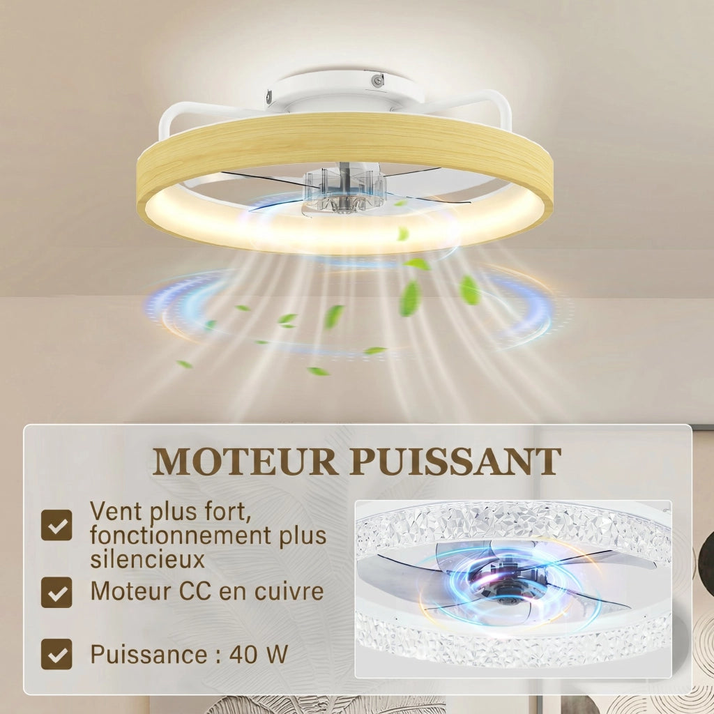 Ventilatore a Soffitto con Luce LED ¨C zephmum ¨C 49 cm, 7 Pale, 6 Velocit¨¤
