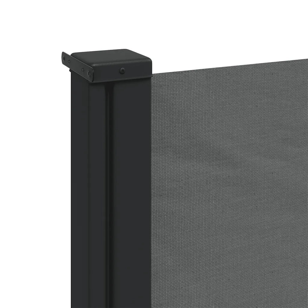 Tenda da sole laterale retrattile antracite 120x500 cm 4004413