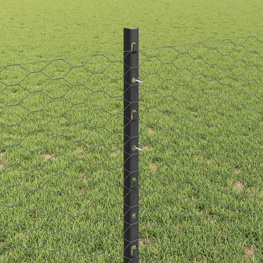 Recinzione da Giardino | Recinzione con Posto Grigio