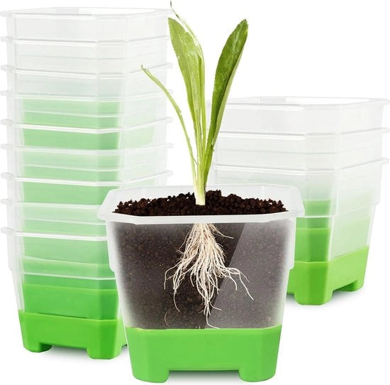 Pannelli di propagazione, vasi per piante trasparenti con base in silicone, vasi per fiori, vasi in plastica quadrati mini per la trasplantazione, vasi in plastica riciclabili per piante (20 pezzi)