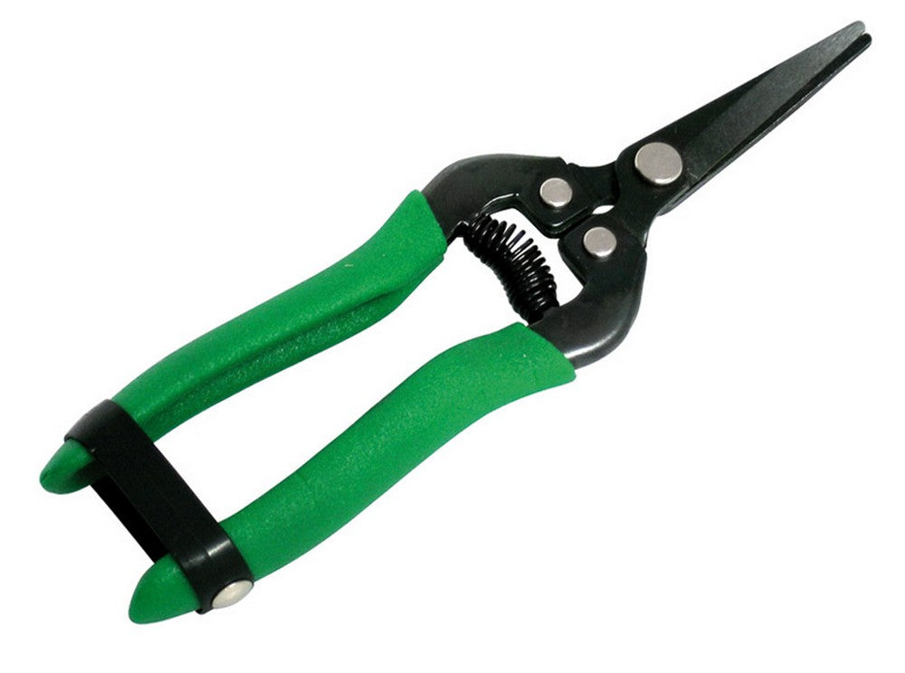 forbici cogliagrumi cm. 19 cod:ferx.vit23233