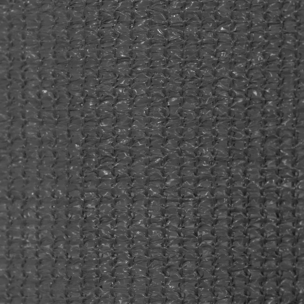 Tenda a Rullo per Esterni 355(L)x140(A) cm Antracite 43491