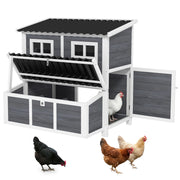Pollaio con Nido per 3-4 Galline ¨C Xylo ¨C Legno di Abete, Tetto Impermeabile, 100x86x100 cm, Grigio Chiaro