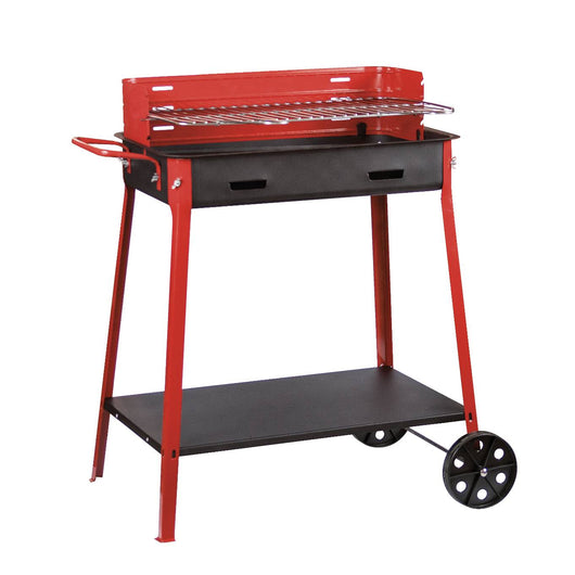 BARBECUE 40X60 C/RUOTE
