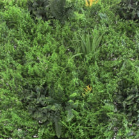 SEMPREVERDE VERTICALE 1X1