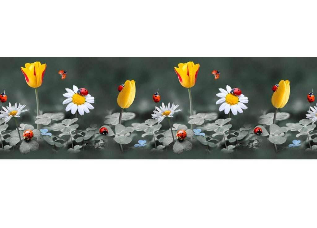 Tappeto Passatoia Cucina Antiscivolo Sottolavello Digitale Dis. Puff Coccinella - 50x115 - Puff Coccinella