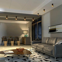 Lampada Da Soffitto Black Gold 20 Cm APP571-1C