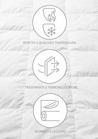 Piumino In Vera Piuma D'Oca 90/10 Invernale Autunnale Caldo 320Gr/Mq Piumone 3 Misure Singolo Piazza Mezza Matrimoniale Bianco - Bianco - Matrimoniale