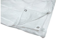 telo occhiellato multiuso in polietilene col. bianco mt. 2x3 cod:ferx.vit29356