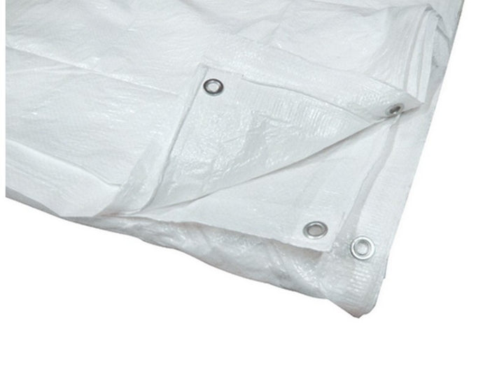 telo occhiellato multiuso in polietilene col. bianco mt. 3x4 cod:ferx.vit29357