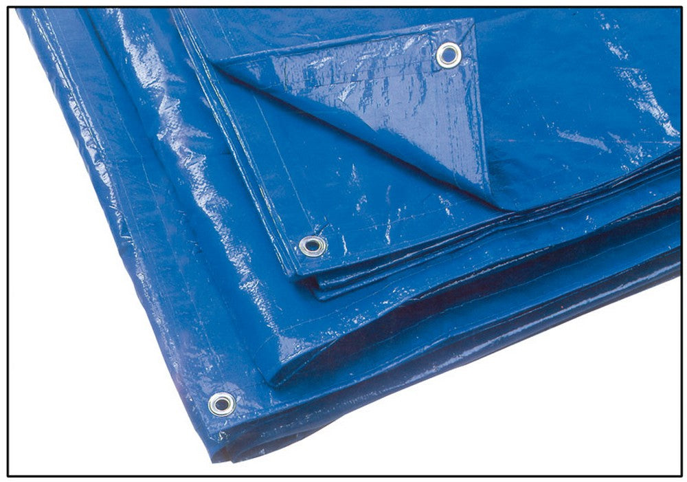 telo occhiellato multiuso in polietilene col. blu (180 gr/mq) mt. 2x3 cod:ferx.vit47911