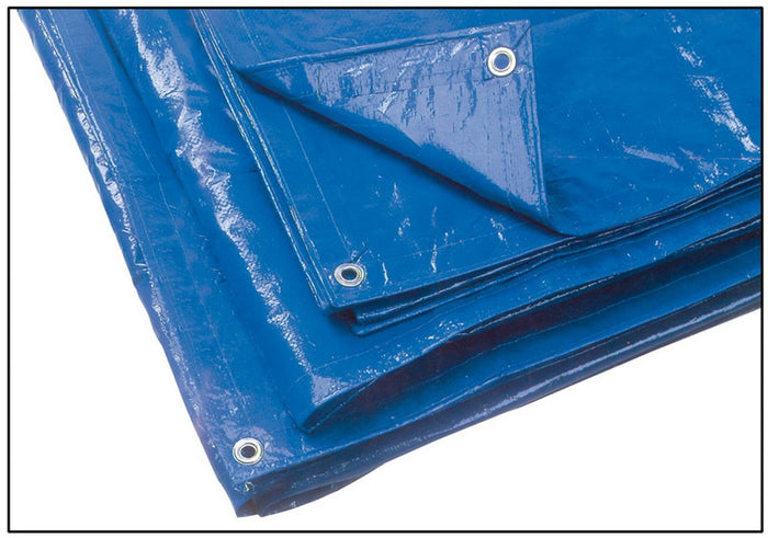 telo occhiellato multiuso in polietilene col. blu (180 gr/mq) mt. 4x5 cod:ferx.vit47913