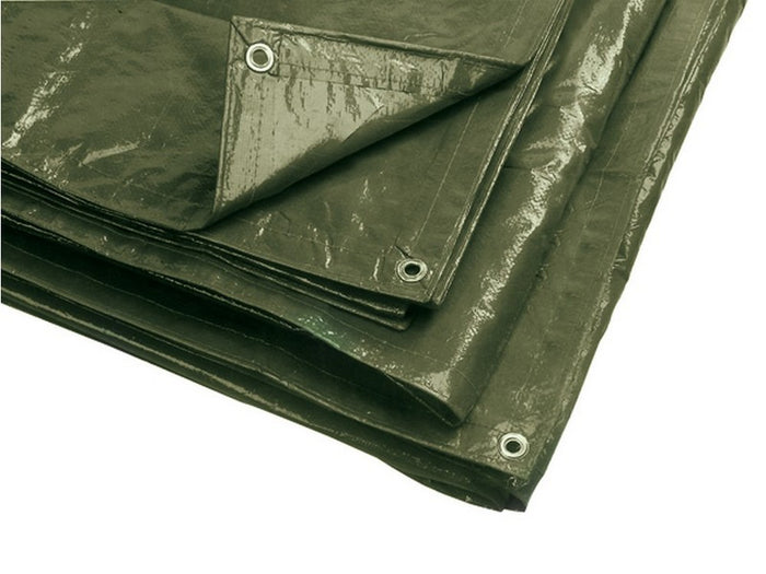 telo occhiellato multiuso in polietilene col. verde (180 gr/mq) mt. 8x10 cod:ferx.vit49255