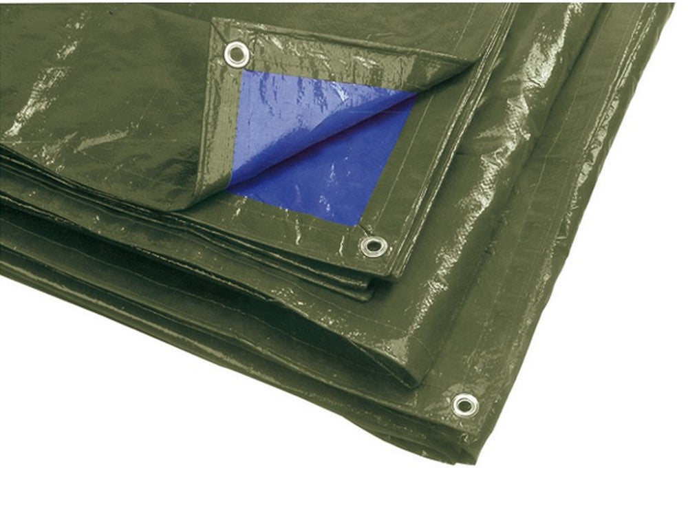 telo occhiellato multiuso in polietilene col. verde/blu (120 gr/mq) mt. 3x5 cod:ferx.vit43742