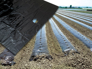 telo per pacciamatura fori centrali distanza fori cm. 40 h. cm. 120 cod:ferx.vit37751