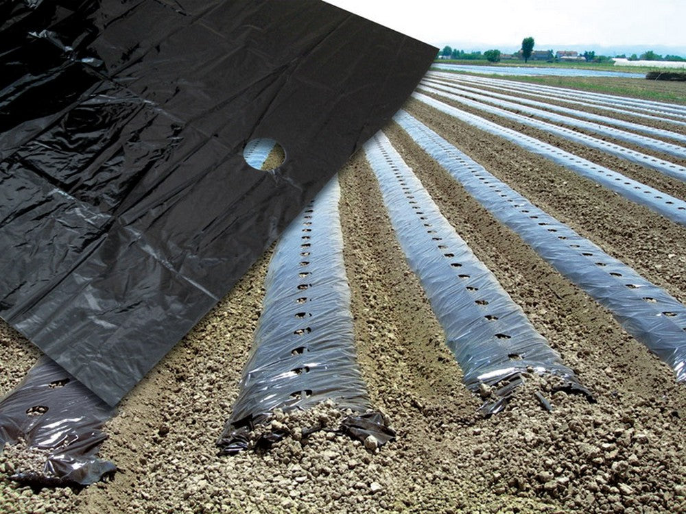 telo per pacciamatura fori centrali distanza fori cm. 20 h. cm. 120 cod:ferx.vit36971