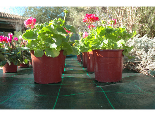 rete per pacciamatura verde lunghezza mt. 100 h.mt.1,05 cod:ferx.vit38002