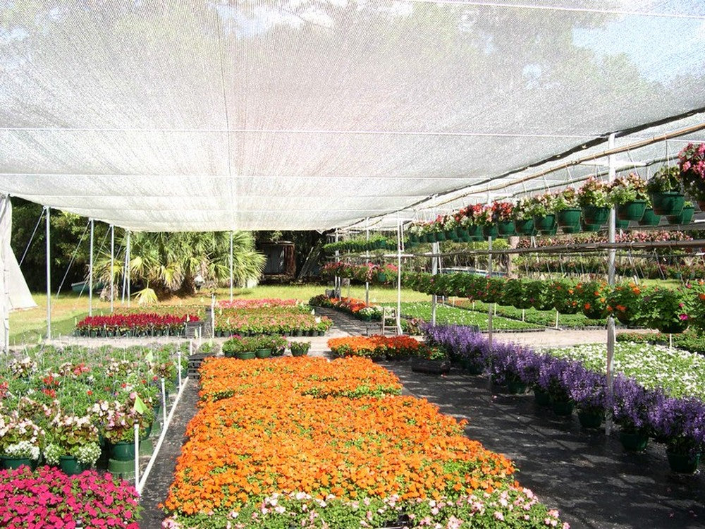 rete ombreggiante rotolo mt.100 col. bianco h. cm. 400 cod:ferx.vit45764