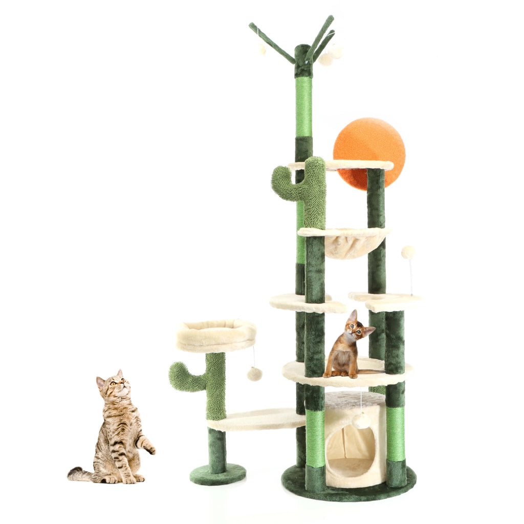 Fudajo Albero tiragraffi per gatti verde cactus 172 cm con casetta amaca e palline