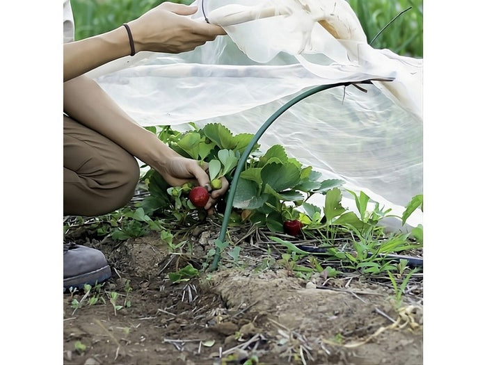 telo antigelo in tnt per semi e piantine mt. 1,60x10 cod:ferx.vit53395