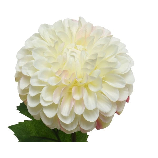 DALIA DECORATIVA CREMA H75CM